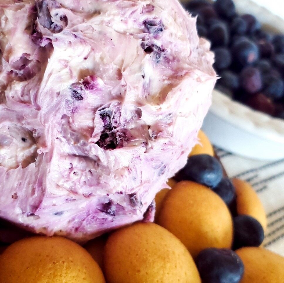 Blueberry Lemon Cheeseball Mix